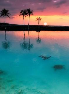 
                    
                        Sunset at Kiholo Bay, Big Island | Hawaii (by Yves Rubin)
                    
                