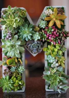 
                    
                        Great Idea - Monogrammed Planter Box!
                    
                