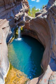 
                    
                        Hamersley Gorge in Karijini National Park, Western Australia is home to this incredible natural spa pool, where you can take an unforgettable dip surrounded by rock formations almost as old as the Earth itself. Stay at the town of Tom Price and drive to Hamersley Gorge. Just one of the many incredible gorges in Karijini NP Discovered by Caz and Craig @yTravelBlog at Karijini-Nationalpark, Karijini, Australia
                    
                