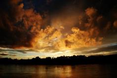 
                    
                        Amazon River, Peru
                    
                