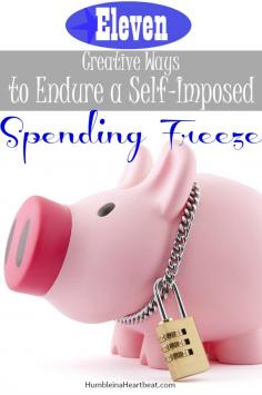 
                    
                        In need of some ideas to get you through a period of no spending? These ideas will shift your focus from spending money to being content with what you have.
                    
                