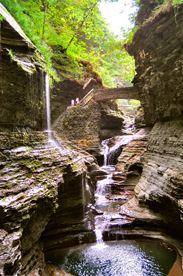 
                    
                        Watkins Glen State Park, New York.
                    
                