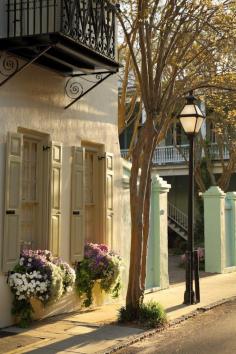 
                    
                        Morning Light on Tradd Street, Charleston, South Carolina
                    
                