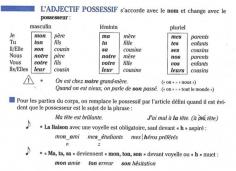 
                    
                        adjectifs possessif
                    
                