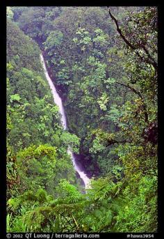 
                    
                        Kahuna Falls (400 feet high). Akaka Falls State Park, Big Island, Hawaii, USA
                    
                