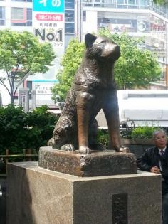 
                    
                        渋谷駅 (Shibuya Sta.) in 渋谷区, 東京都
                    
                