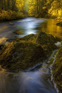 
                    
                        Morning by the Creek by Carlos Rojas
                    
                