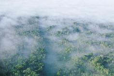 
                    
                        Amazon River, Peru | The Planet D
                    
                