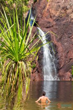 
                    
                        Wangi Falls, Litchfield National Park, Australia
                    
                