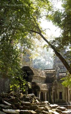 
                    
                        One of my favorite spots in Cambodia: Ta Prohm. #travel #cambodia #travelphotography | Lindsay Mickles Photography | theneverendingwan...
                    
                