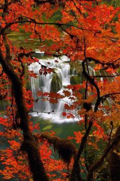 
                    
                        Fall, Waterfalls
                    
                