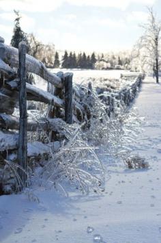 
                    
                        :Icy Fence( Toronto) *** By Kylie MacEachern
                    
                