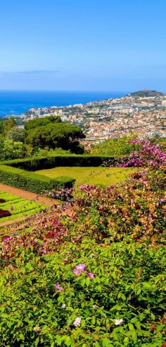 
                    
                        Famous Tropical Botanical Gardens in Funchal town, Madeira, Portugal   |   32 Stupendous Places in Portugal every Travel Lover should Visit
                    
                