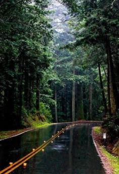 
                    
                        Rainy Day, Northern California
                    
                