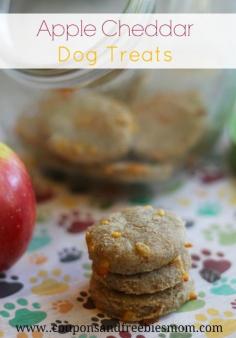 
                    
                        Easy Homemade Apple Cheddar Dog Biscuits! Your dogs will go WILD for these homemade dog treats, especially with our special SECRET ingredient! Stop wasting money on dog treats & make these Simple Dog Biscuits at home! Check it out here!
                    
                