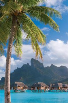 
                    
                        Bora bora, Tahiti
                    
                