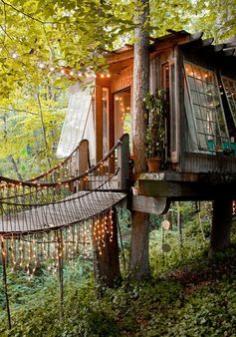 
                    
                        Treehouse getaway
                    
                