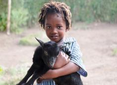 
                    
                        Some of us would rather give a goat than wear one (to each her own). The gift of a sheep ($50) or goat ($75) through Plan Canada means milk, cheese and wool for a family in a third-world country, plus an income to pay for health care and education. Feeling extra-generous? Give a whole herd ($775). plancanada.ca - See more at: vitamindaily.com/...
                    
                