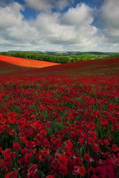 
                    
                        Patch of Light - The South Coast of England
                    
                