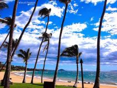 
                    
                        Hawaii: Photos, Travel & Tourism- Maui & Honolulu
                    
                