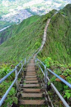 
                    
                        Looking Down, Haiku Stairs | Hawaii (by Dave)
                    
                