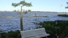 
                    
                        Balneario La #Florida, Costa Alta, #Rosario #Argentina #BlogdeViajes #Travel elisaserendipity....
                    
                