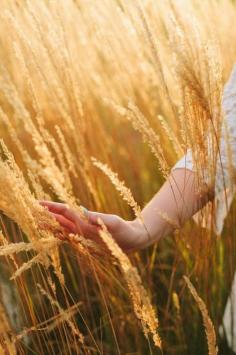 
                    
                        Walking in Fields of Barley
                    
                