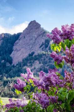 
                    
                        Colorado Chautauqua National Historic Landmark, Boulder, Colorado
                    
                