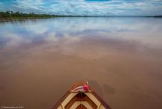 
                    
                        10 Reasons You’ll Want to Travel to the Amazon River, Peru | The Planet D
                    
                