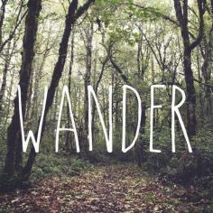 
                    
                        Wander.
                    
                