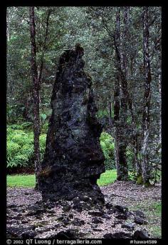 
                    
                        Petrified tree stump, Lava Trees State Park. Big Island, Hawaii, USA
                    
                