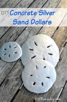 
                    
                        Concrete Silver Sand Dollars are fun to make and can be used for wall decor, stepping stones and more! www.H2OBungalow.com
                    
                