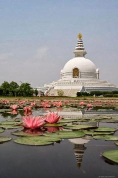 
                    
                        World Peace Pagoda at The Birthplace of Buddha, Lumbini, Nepal
                    
                