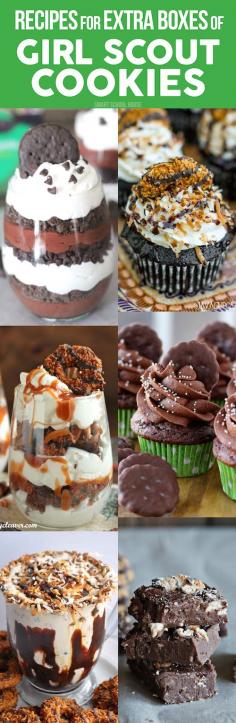 
                    
                        Girl Scout Cookie Recipes! What to do with all of those extra boxes of Girl Scout Cookies....
                    
                