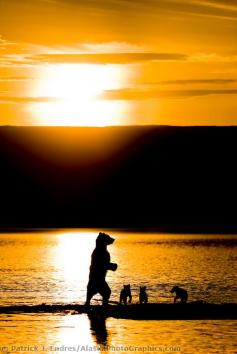 
                    
                        Brooks river into Naknek Lake ~ Katmai National park, southwest, Alaska.
                    
                