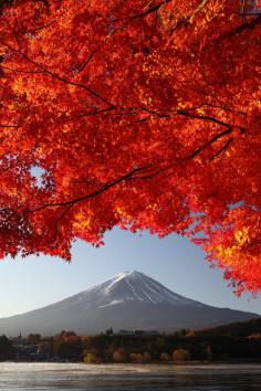 
                    
                        Mt Fuji, Japan
                    
                