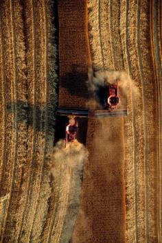 
                    
                        Wheat Fields | Kansas | by Jim Richardson via Flickr
                    
                