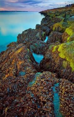 
                    
                        Holywood Rocks in Knocknagoney, Belfast, Northern Ireland by Chris McKeown on Flickr..
                    
                