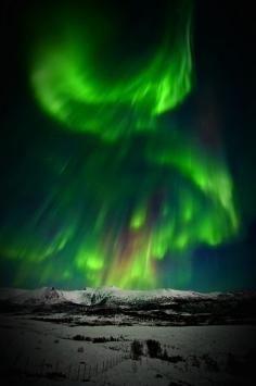 
                    
                        Northern Lights
                    
                