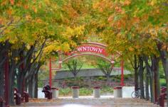 
                    
                        Downtown Petoskey Michigan by Grace Ray on 500px #mynorth #michigan #downtown
                    
                