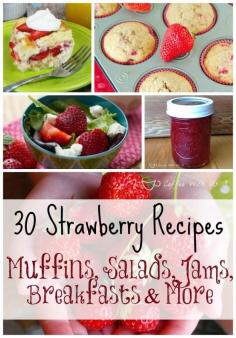 
                    
                        30 Strawberries Recipes - Muffins, Breads, Salads, Breakfasts, Jams, Drinks & Even More
                    
                