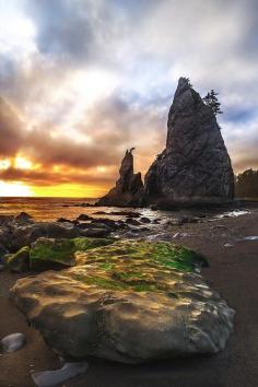 
                    
                        Rialto Beach, Olympic National Park, Washington
                    
                