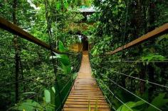 
                    
                        cool places in costa rica
                    
                