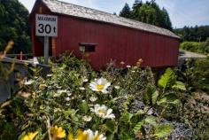 
                    
                        8 Ways to Experience the Bay of Fundy - Covered Bridges in Fundy National Park
                    
                