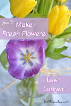 
                    
                        Follow these tricks to make fresh cut flowers last longer and keep your flowers fresh, in some cases weeks longer!
                    
                