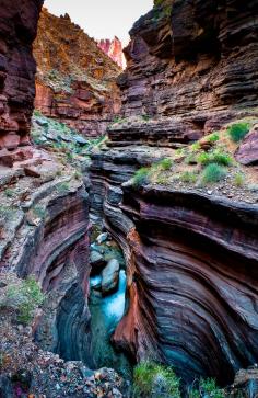 
                    
                        Posting Pinner said: "We did a 4 day/3 night backpack trip from the North Rim in Grand Canyon National Park in Arizona. We descended into the canyon on the Bill Hall Trail to the Thunder River Trail and camped the first night at the upper Tapeats Creek camp. We continued down the Thunder River Trail to the Colorado River and followed informal route downstream to Deer Creek where we camped the second night. We continued on the Deer Creek trail to the Esplanade..." more at link.
                    
                