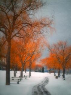 
                    
                        The Colours Of Winter, Peach Orchard Beach, Summerland, British Columbia, Canada
                    
                