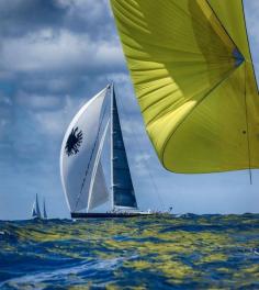 
                    
                        Sailing Bucket Regatta #Yachts #Quay #SBH #stbarthelemy
                    
                