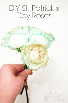 
                    
                        How to make green roses for St. Patrick's Day! All you need is food coloring!
                    
                