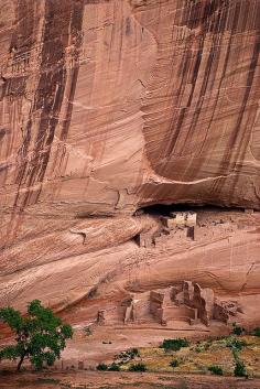 
                    
                        White House Ruins, Anasazi ruins at Canyon De Chelly, Arizona | by SheldonBranford (RichGreenePhotogr...), via Flickr
                    
                